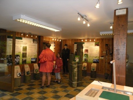 vitrine foret